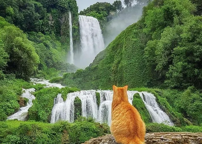 Aurora Appartamento, Intero Di 105 Mq Apartment *